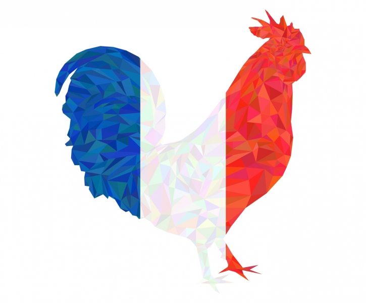 Francja znosi ograniczenia dotyczące HPAI