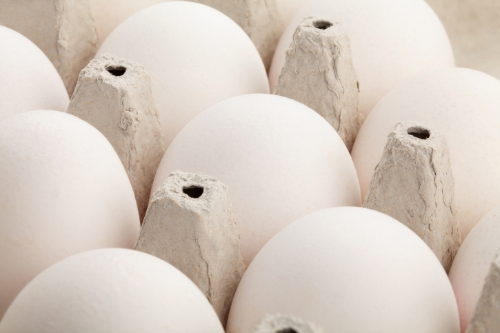 Padł rekord w eksporcie jaj z Brazylii