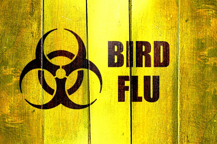 W Hiszpanii grypa ptaków potwierdzona u ludzi