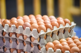 Dlaczego Łotwa kontroluje ukraińskie jaja?