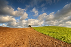 Nowy kierunek MHP: rolnictwo ekologiczne